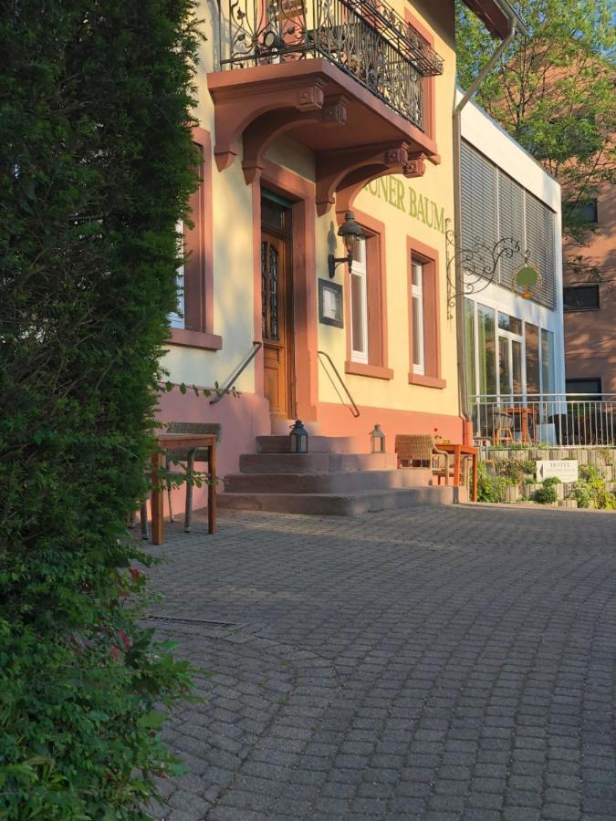 Hotel & Restaurant Gruener Baum Merzhausen Екстер'єр фото