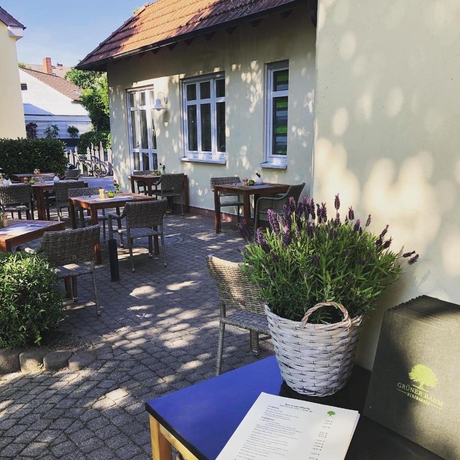 Hotel & Restaurant Gruener Baum Merzhausen Екстер'єр фото